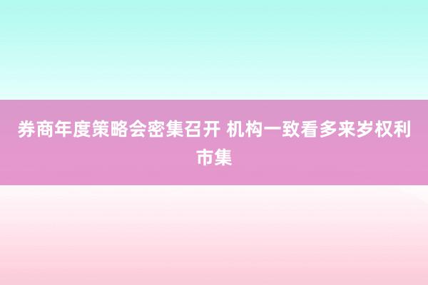 券商年度策略会密集召开 机构一致看多来岁权利市集