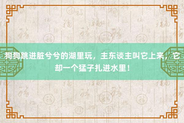 狗狗跳进脏兮兮的湖里玩，主东谈主叫它上来，它却一个猛子扎进水里！