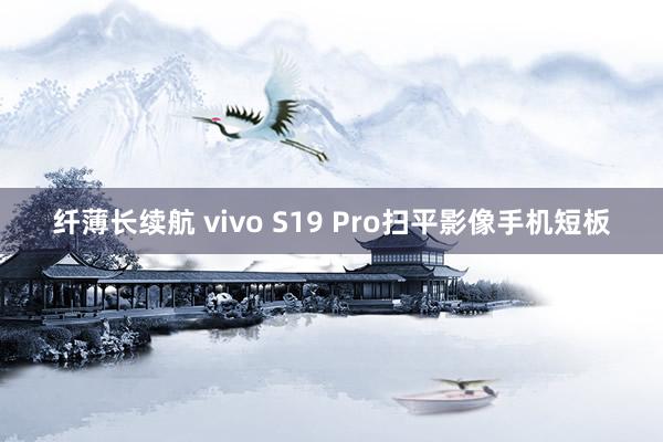 纤薄长续航 vivo S19 Pro扫平影像手机短板