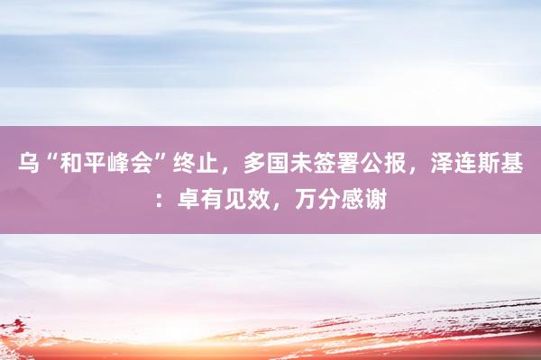 乌“和平峰会”终止，多国未签署公报，泽连斯基：卓有见效，万分感谢