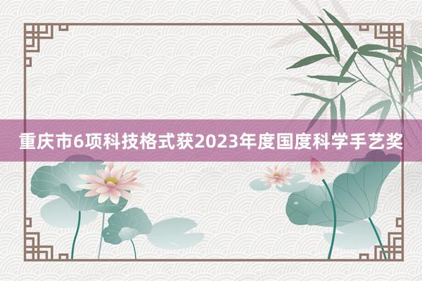 重庆市6项科技格式获2023年度国度科学手艺奖