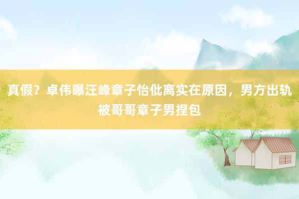 真假？卓伟曝汪峰章子怡仳离实在原因，男方出轨被哥哥章子男捏包