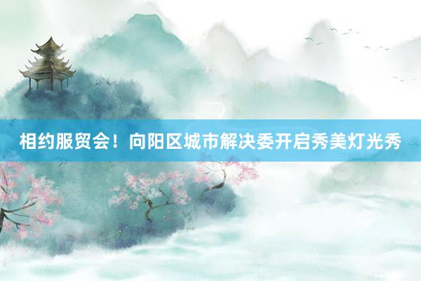 相约服贸会！向阳区城市解决委开启秀美灯光秀