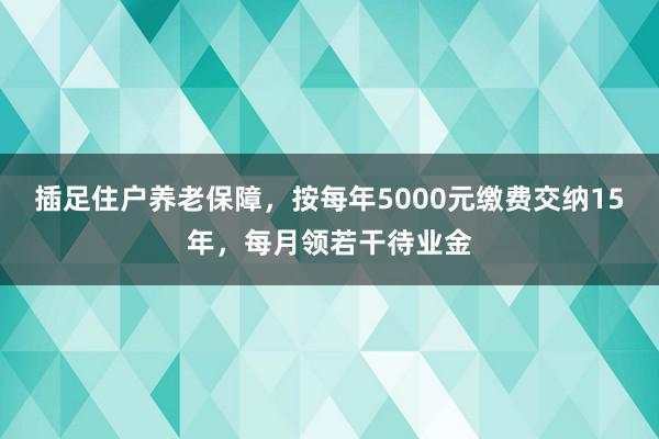 插足住户养老保障，按每年5000元缴费交纳15年，每月领若干待业金