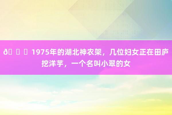 🌞1975年的湖北神农架，几位妇女正在田庐挖洋芋，一个名叫小翠的女